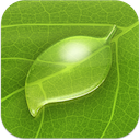 coda icon