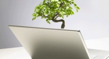 scitable