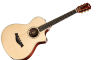 taylor